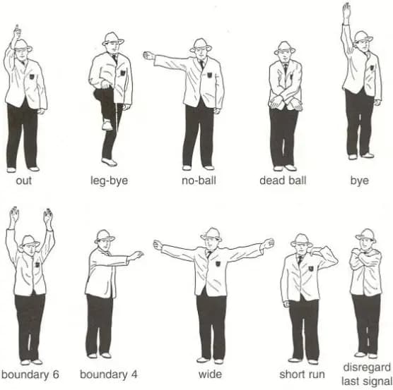 Signals by umpires